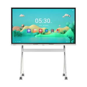Interactive Panels for Education