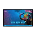 Interactive Panels