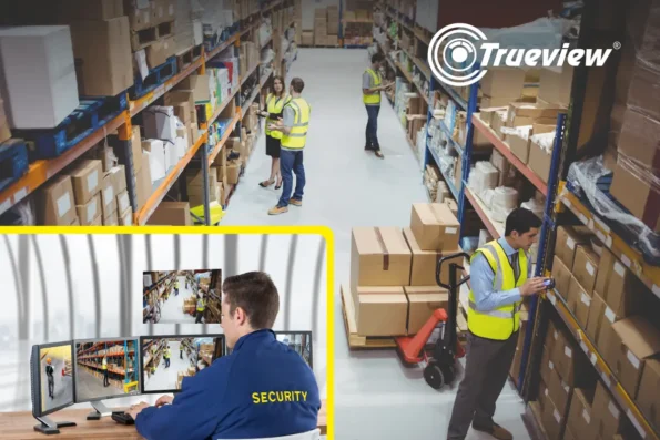 Industrial Surveillance Cameras